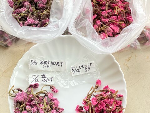 桜の花の塩漬け(レモン汁と米酢)